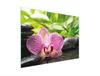 SZKLANA DESKA DO KROEJNIA 30x22 ORCHIDEA