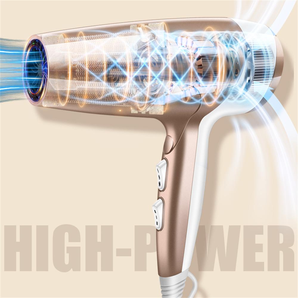 2000W High Power Hair Dryer Blue Light Care Negative Ion Quick Drying Hair Styling Tool,EU Plug