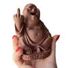 Statua del Buddha con Dito Medio Sorriso Divertente Peter Statuetta di Buddha in Resina Ornamento da Tavolo Buddha Regalo Scherzoso per Amici Famiglia