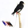 Velour Leather Pet Accessories Bird Foot Cover Parrot Leg Ring Bird Buckle Rings Ankle Foot Chain