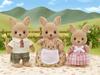 Sylvanian Families Dolls [Kangaroo Family] FS-03 ST Mark Ages 3+ Toy Dollhouse Sylvanian Families Epoch Co., Ltd.
