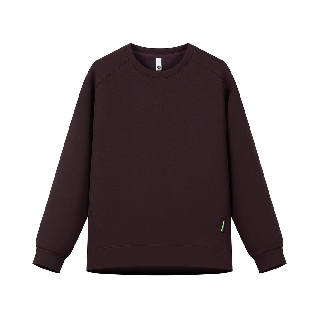 Men's Raglan Hoodie: Casual Round Neck, Long Sleeve, Plus Velvet, Thickened Base Layer for Spring, Autumn, and Winter.