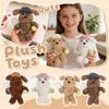 Plush Toys, Cute Bunny Dolls, Comfort Toys, Children's Gifts