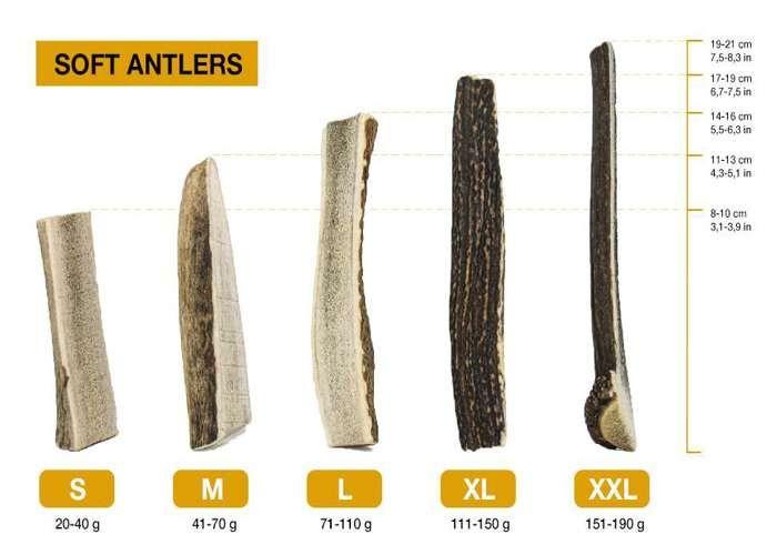 Jouet à mâcher naturel - RF - DEER - Bois de cerf élaphe L - 100% Naturel - Sûr et durable