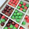 10pcs Resin Fruit Beads Simulated Fruit Keychain Making Accessories  DIY Earring Necklace Jewelry