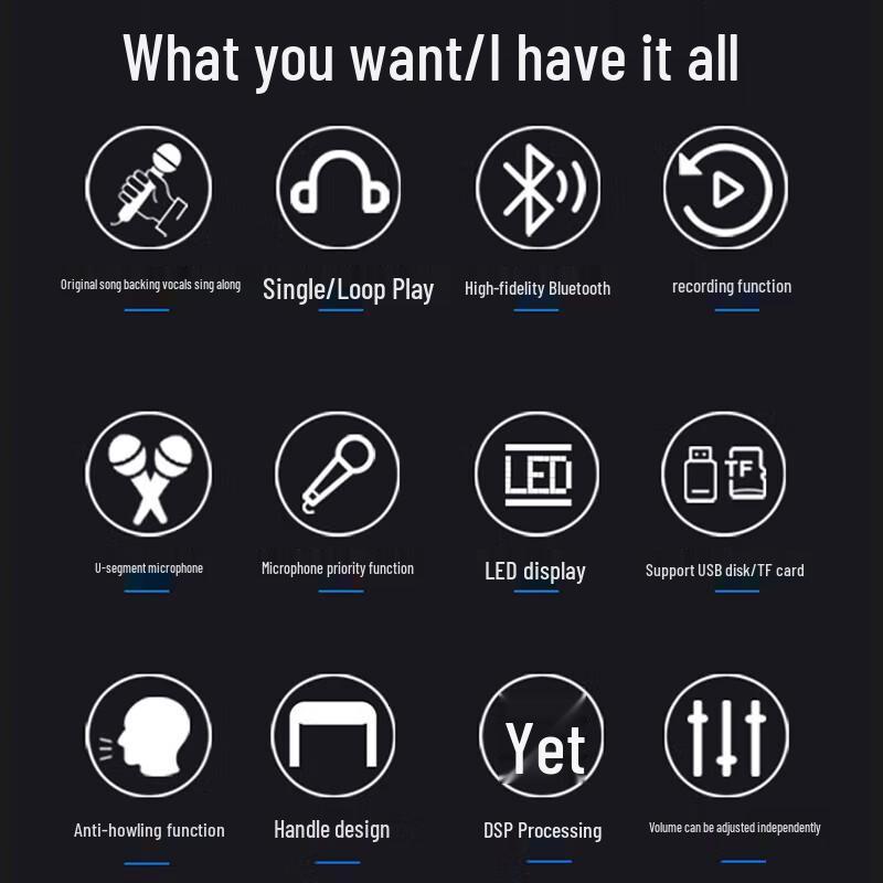 Wanlida M+9111 Portable Bluetooth Karaoke Speaker