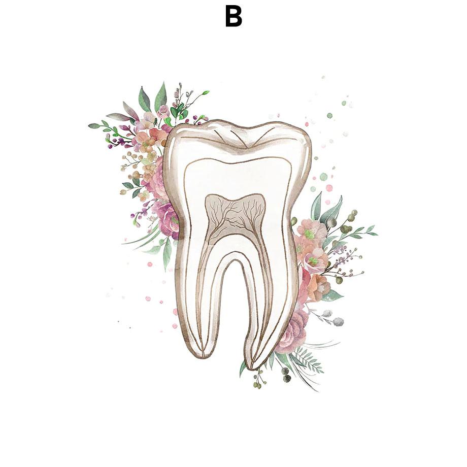 

Плакат стоматолога Акварельное стоматологическое искусство Анатомия зубов Принты Подарок стоматологу Стоматология Здоровье зубов Декор для стен Инструменты стоматолога Искусство 21cm×30cm NoFrame