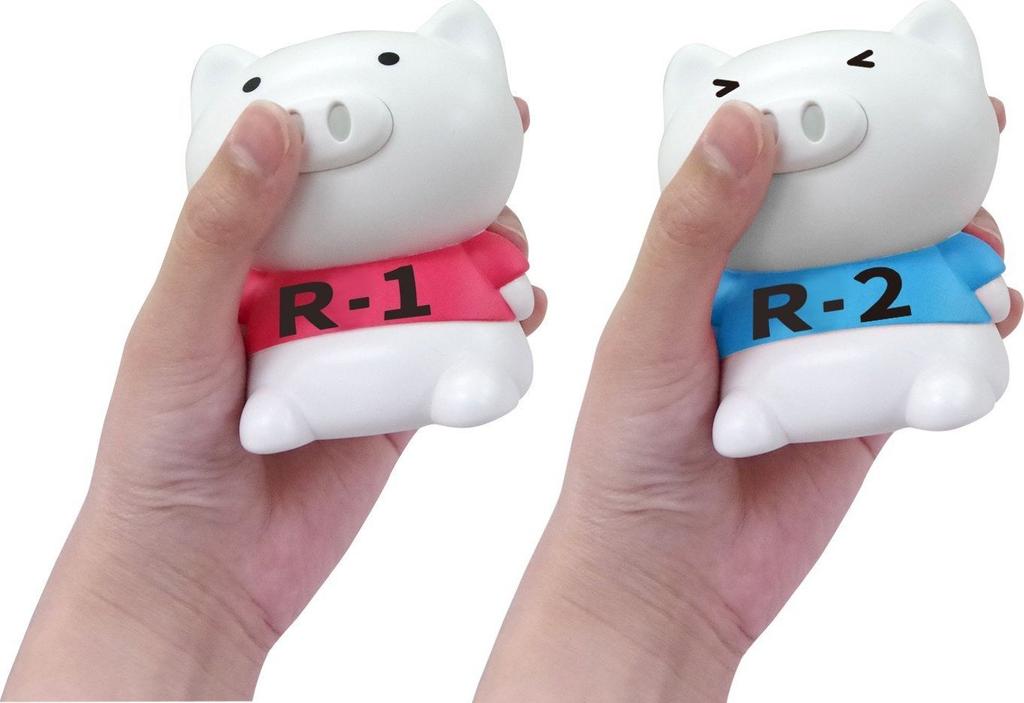 Gymnastika Boo Boo R1 R2 Cvičení 1 x 2 dílná sada baterií AAA čistící ručník & (Rádio a 2) [4 + v ceně]