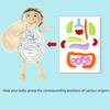 Children Cognitive Human Organ Body Structure Puzzle Plush Early Toys Education