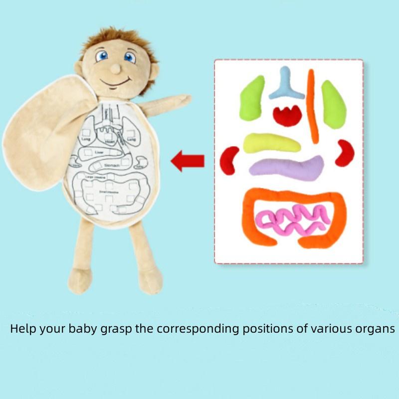 Children Cognitive Human Organ Body Structure Puzzle Plush Early Toys Education