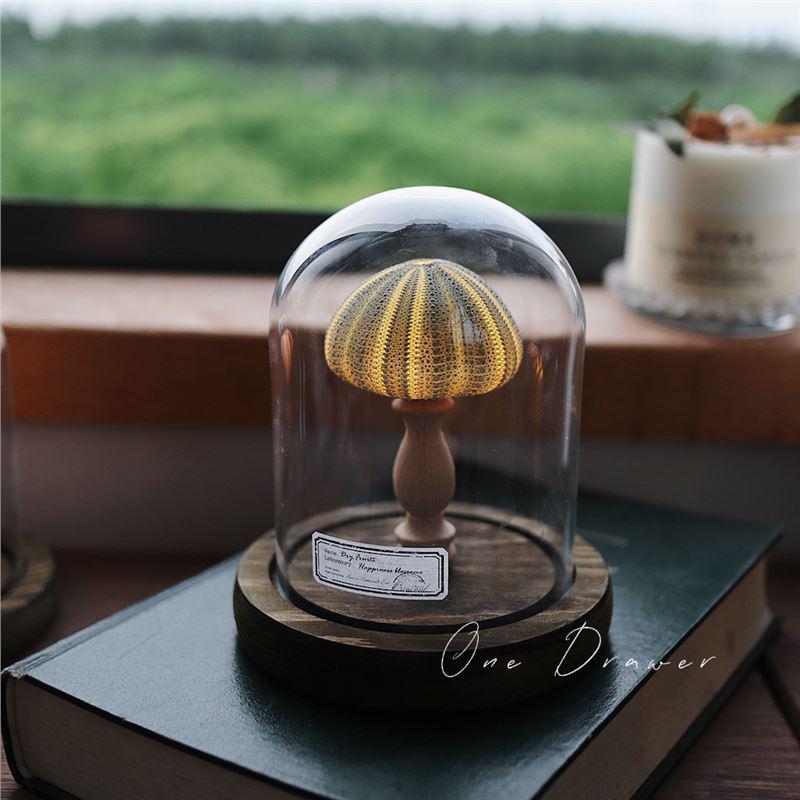 Handmade Ocean Island Retro Seashell & Conch Night Light for Mid-Autumn Festival
