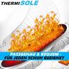 ThermiSole გასათბობი ძირები თერმო ძირები ფეხსაცმლის გამათბობელი ფეხსაცმლის ჩასაფენი USB