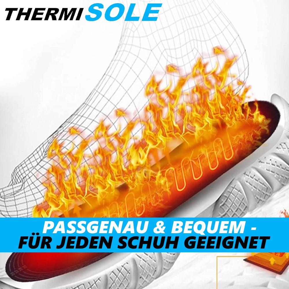 ThermiSole Beheizbare Einlegesohlen Thermosohlen Schuhheizung Schuheinlagen USB