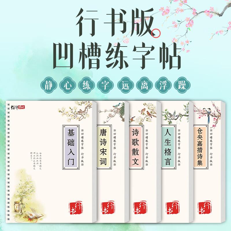Shaoze Culture Adult Calligraphy Practice Books