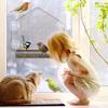 Suction Cup Bird Feeder Transparent Window Bird Feeder Tray Hanging House Shape Pet Feeder Outdoor Garden Bird Food Dispenser