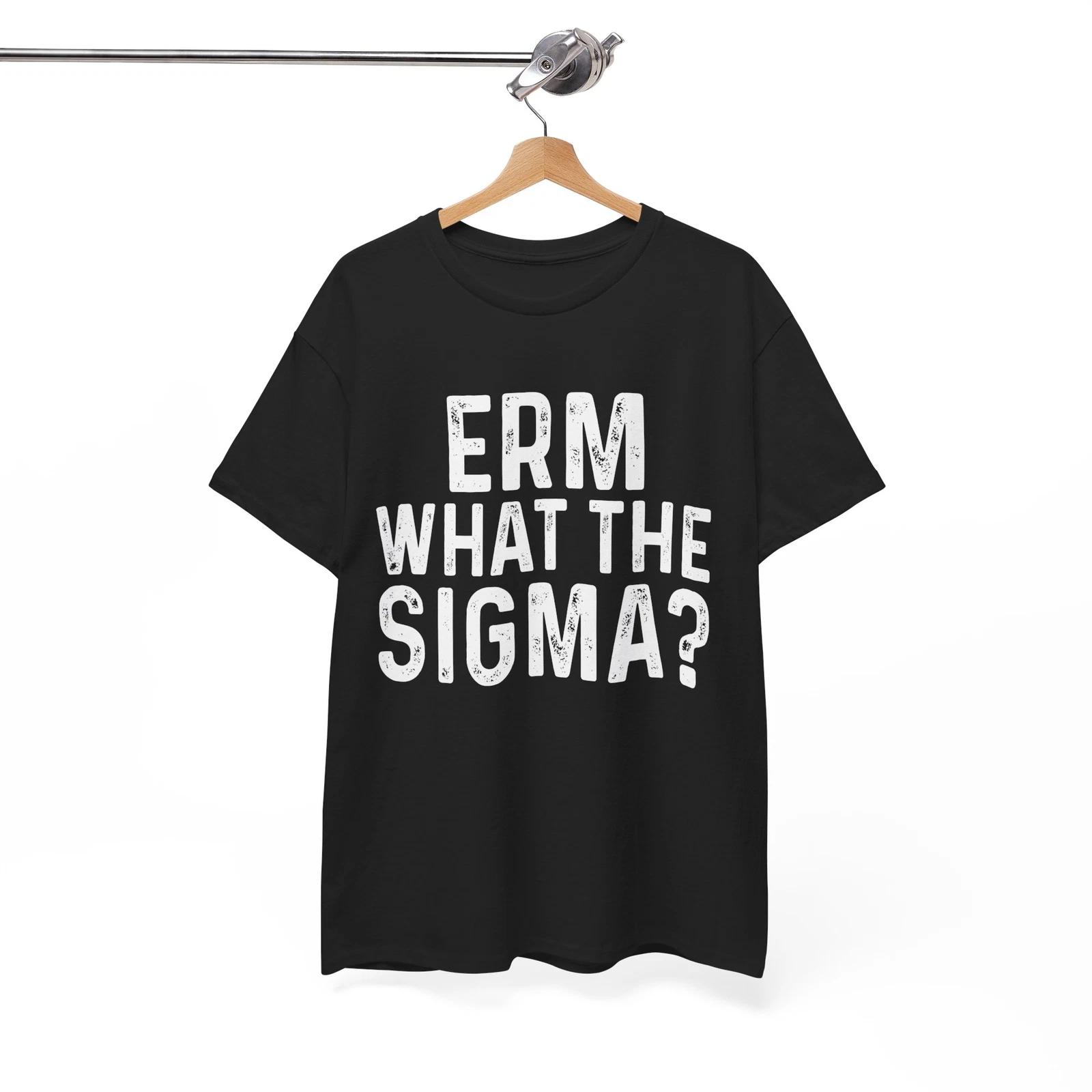 Sigma Meme T-Shirt | Funny Adulting Joke Tee | Hilarious Life Shirt 2XL