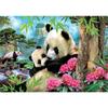 Puzzle animaux - educa - 1000 pièces - pour adulte - avec colle fix puzzle® offerte