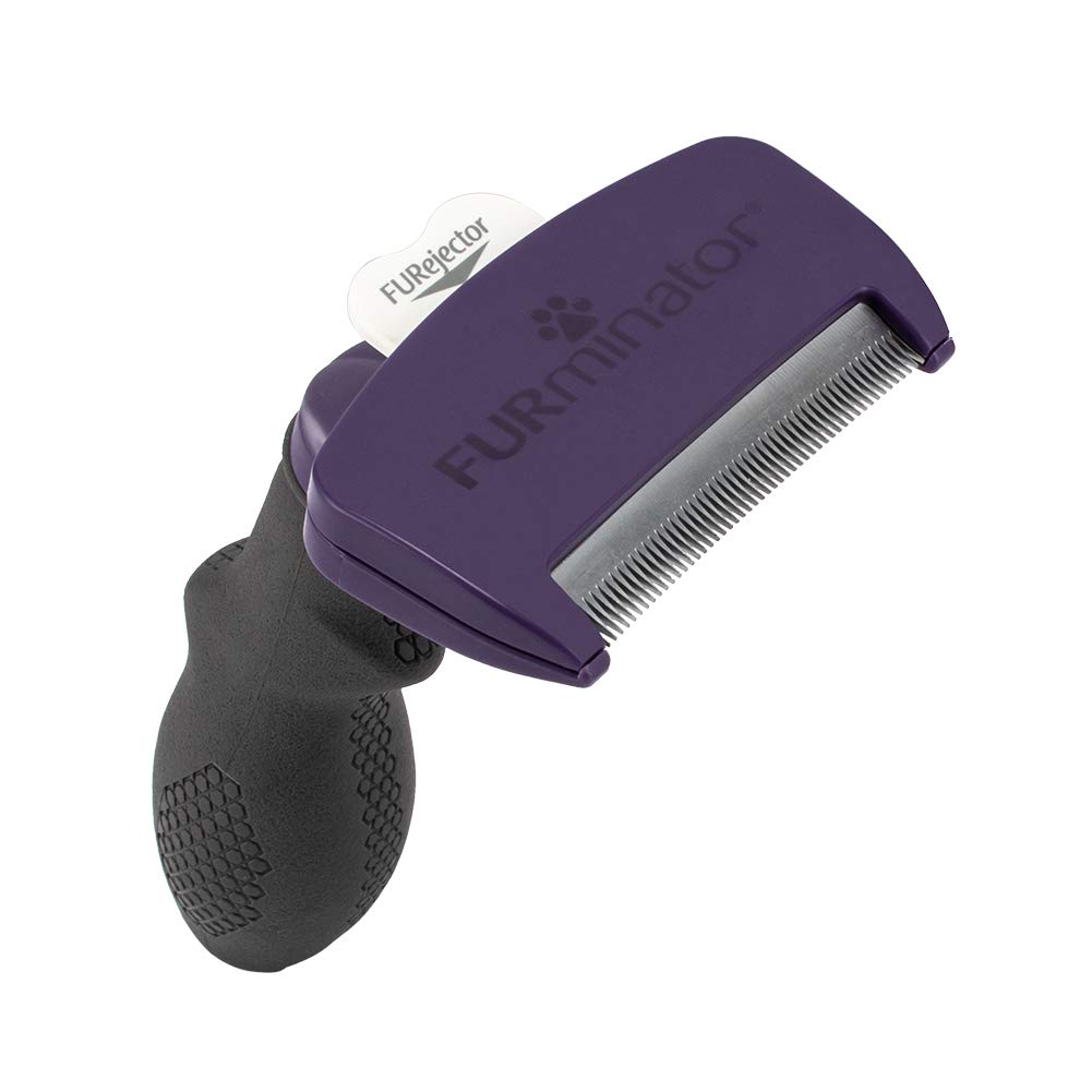 

Фурминатор для питомцев Размер Короткая шерсть Крупные кошки T691661 Кошки ШЕРСТЬ ПОДШЕРСТОК КОШКА КОРОТКОШЕРСТНАЯ Груминг Удаление шерсти [Furminator] M/L EU3-12/1CT [Продукт]