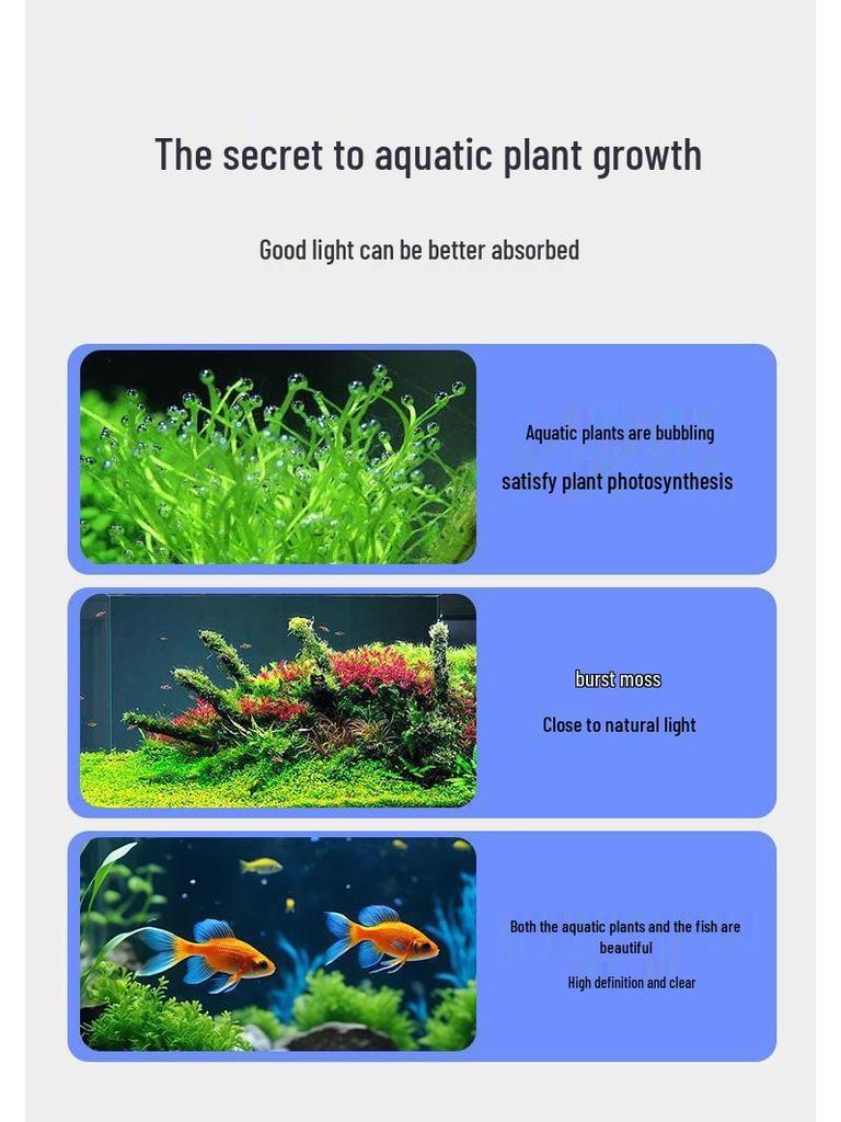 Super Bright Clip-on Full Spectrum LED Aquarium Light, Waterproof and Splashproof, Ideal for Mini Aquariums.