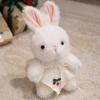 Cute Rabbit Plush Toy Stuffed Animal Bunny Rabbit Wear Skirt Sweater Accompany Sleeping Doll Girls Birthday Gift