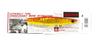 Shout 101-SS metalinis Jig Shab Shab 70 gramų RG (2993 m)