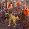 French Bulldog Garden Statue Lifelike Design Resin Dog Shape Figurine Ornament Home Garden Table Decor