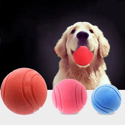 Perros – Juguetes para perros