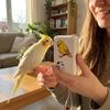 Interactive Bird Talking Trainer Auto Cycle Speech Training Machine  Education Purpose