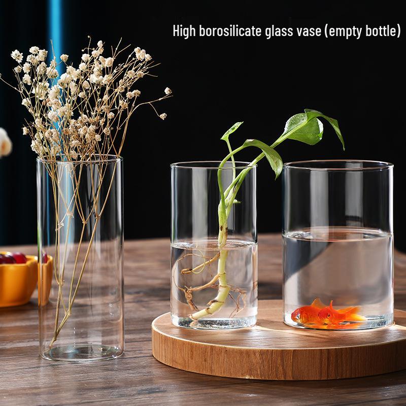 High Borosilicate Glass Hydroponic Vase & Desktop Planter - Straight Tube Design for Artistic Arrangements and Moss Ecosystem