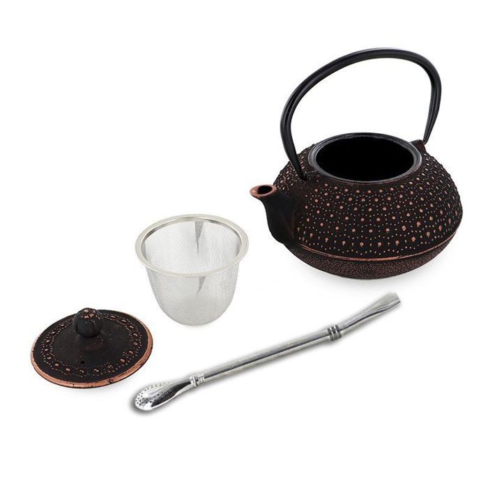 Théière en fonte chinoise Sui 0,8 L + paille inox avec filtre