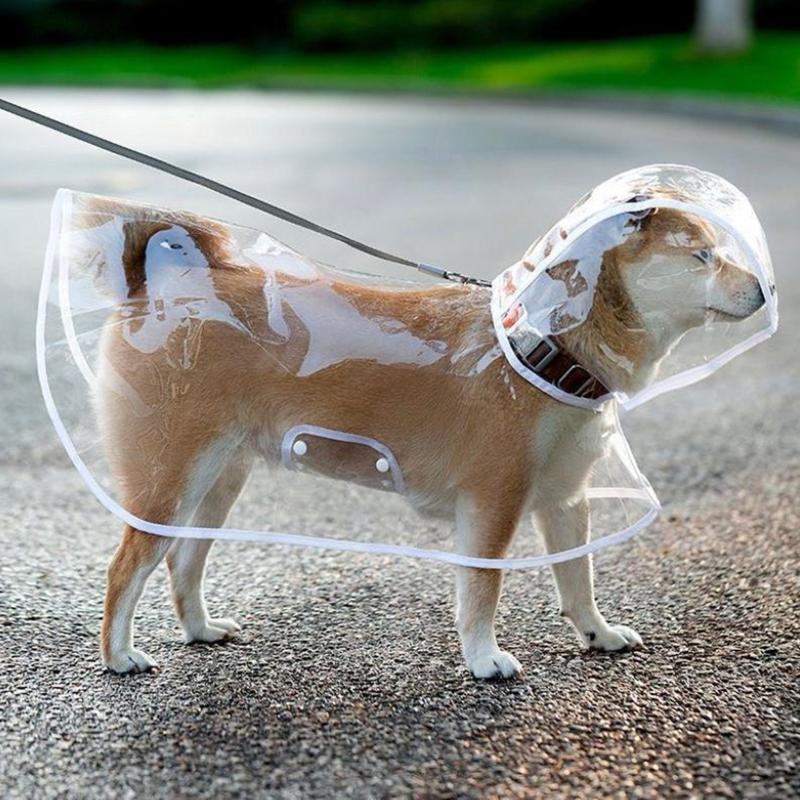 Capa de Chuva para Animal de Estimação Capa de Chuva Transparente para Cão Impermeável e à Prova de Vento Roupa para Animal de Estimação Cão Grande Animal de Estimação Cão Fantasia para Animal de Estimação