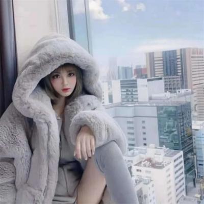 Gesteppter Dicker Pelzmantel Damen Herbst und Winter Lammplüsch Imitation Nerz Rexkaninchenfellmantel Damen Kapuzenjacke