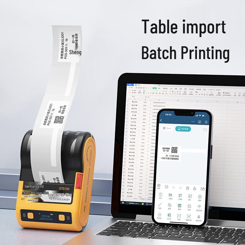 DeTong DT5250 Portable Thermal Transfer Label Printer CN plug (adapter included)