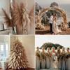 9 Stems Pampas Grass Decor Tall 48''/4 FT, Long Fluffy Dried Pompas Grass, Large Pampas Grass for Floor Vase, Rustic Wedding, Baby Shower, Party,