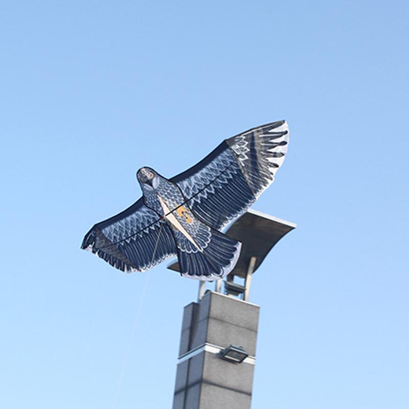 1.5m/1.8m Big Eagle Kite