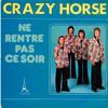 7inch Record CRAZY HORSE  Ne Rentre Pas Ce Soir EL29008 DiscAz 1973 France Pop Used