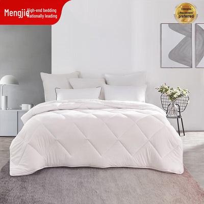 Mendale Soft & Fluffy Two-in-One Quilt