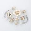 10PCS Fashion Shoe Charms Set Accessories Hole Shoe Buckle Crystal Pearl Damond Chain Shoe Flower DIY Shoes Decorations Gift