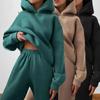 Women's Tracksuit Suit Autumn Fashion Warm Hoodie Sweatshirts Two Pieces Oversized Solid Casual Hoody Pullovers Long Pant Sets