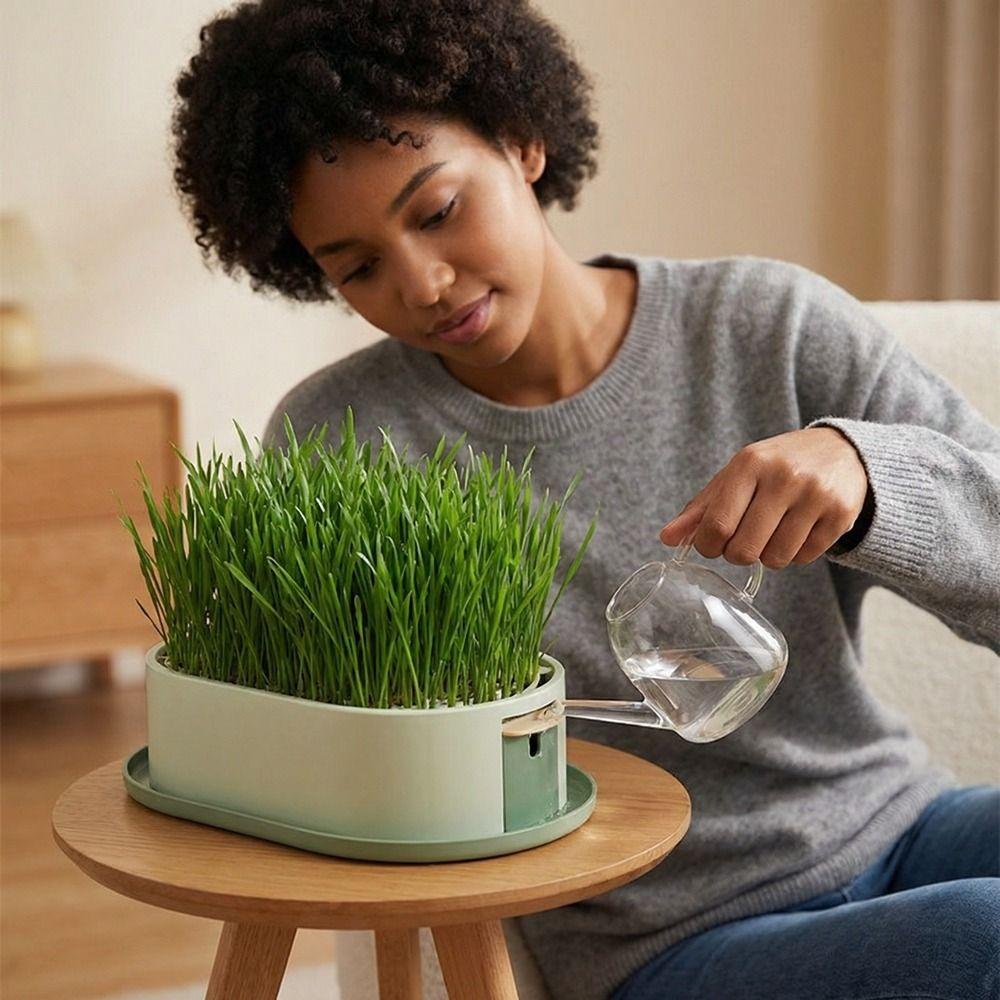 Prevent Overflow Cat Grass Planter Box Removable Nursery Pots Hydroponic Tray  Indoor Gardening