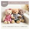 Petit Luu Lovable Bear (Ivory Normal) 40cm DS Size Teddy Bear Plush Toy