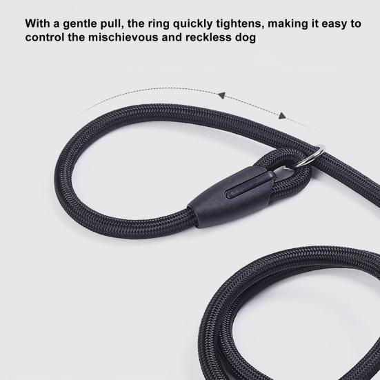 Strong Slip Lead Dog Leash Adjustable Loop High-density Nylon Braided Rope Vibrant Color Training Leash for Large Medium Small Dogs