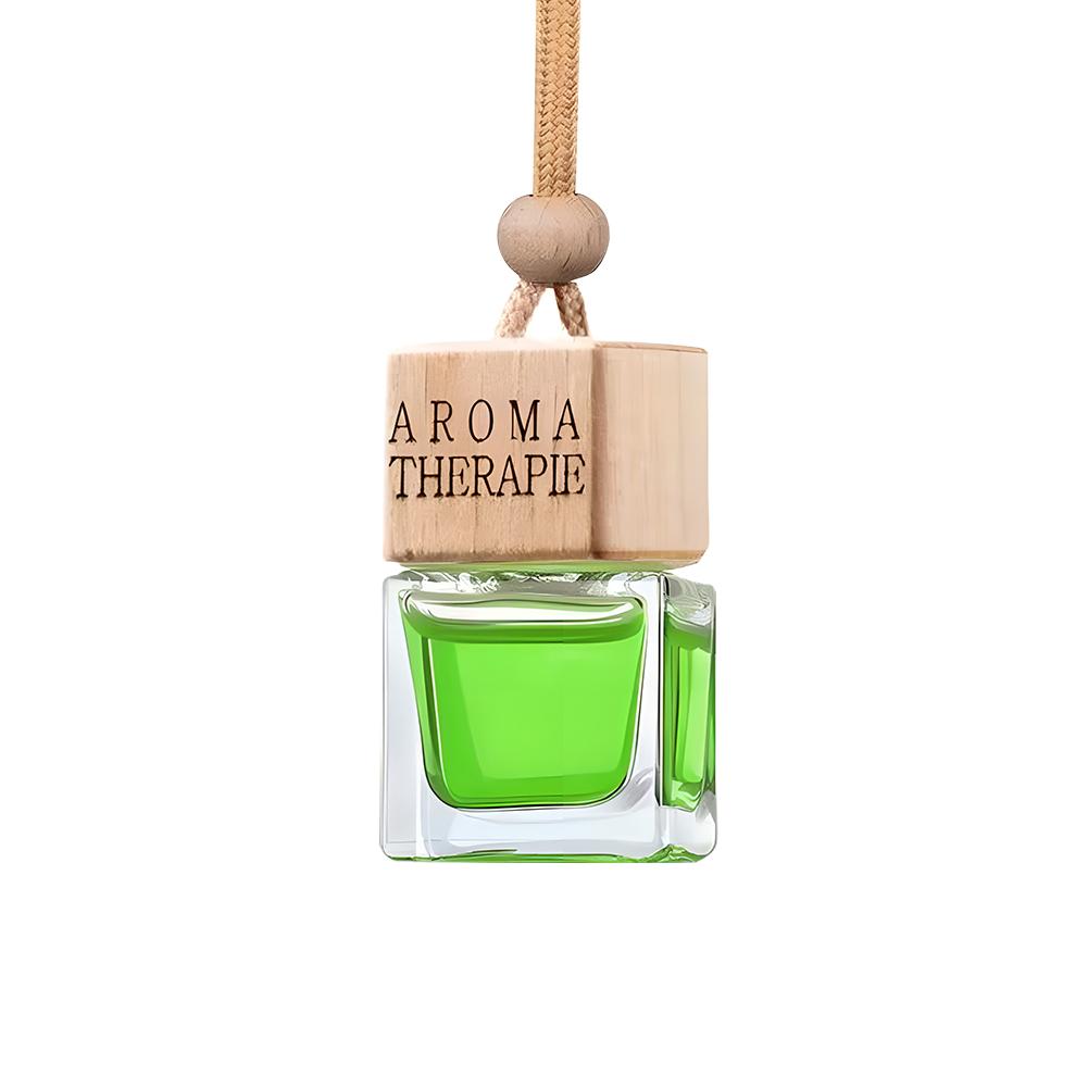 Auto Aromatherapy Fragrance Pendent Bottle Perfume Diffuser Automotive Decoration Car Hanging Glass Bottle Empty Perfume