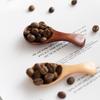 1pcs Mini Wooden Spoons Kitchen Spice Condiment Spoon Coffee Sugar Teaspoons Kids Short Handle Wood Scoops Home Tableware