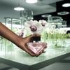 Prada, Paradoxe Virtual Flower, Eau De Parfum, For Women, 90 Ml