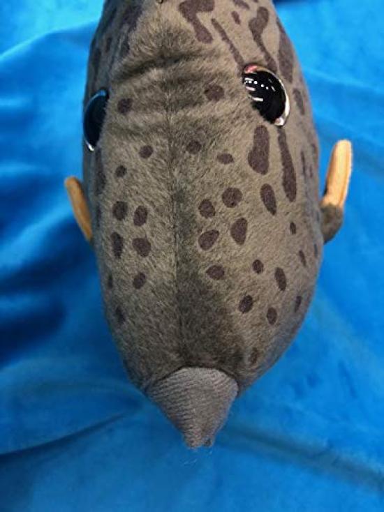 TST Advance Angler Filefish Plush Toy 9354