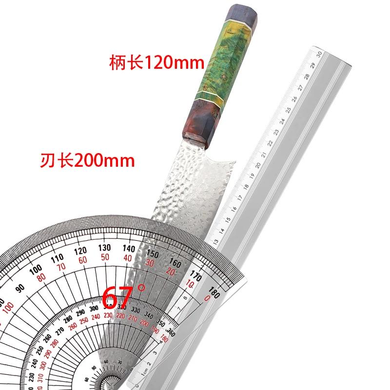 Damascus Kitchen Knife 8-inch Nakiri Knife 67 Layers Japanese Damascus Steel Slicing Chef Knife Razor Sharp Blade Colorful Wood