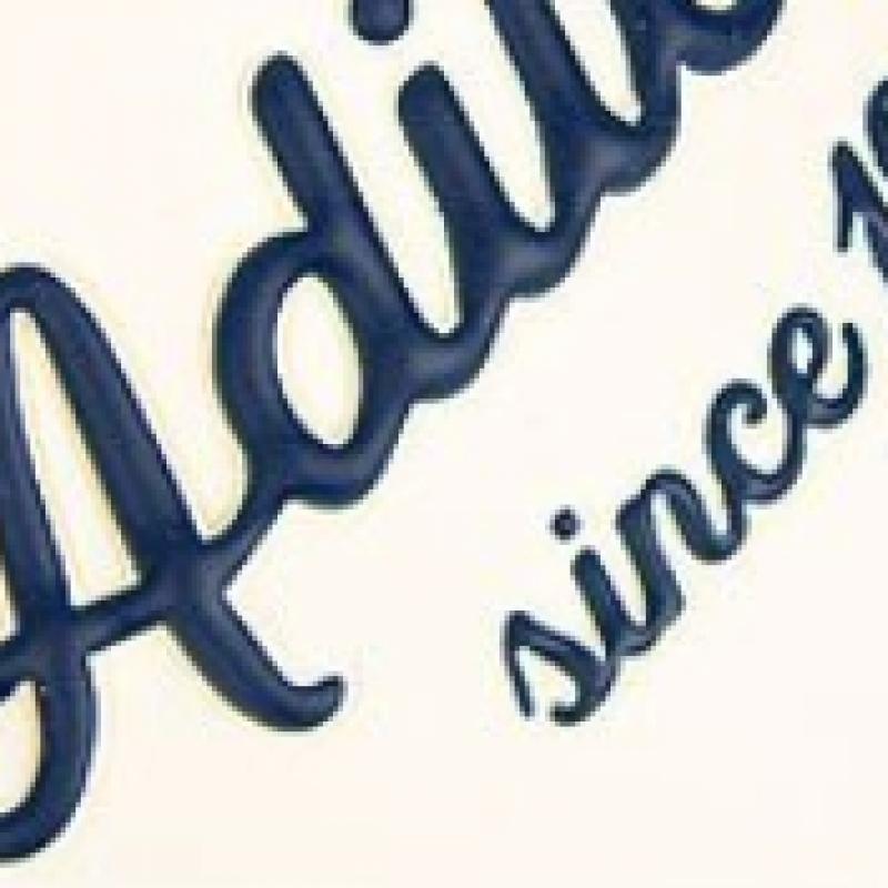 Adidas Adilette Shower Gw8748