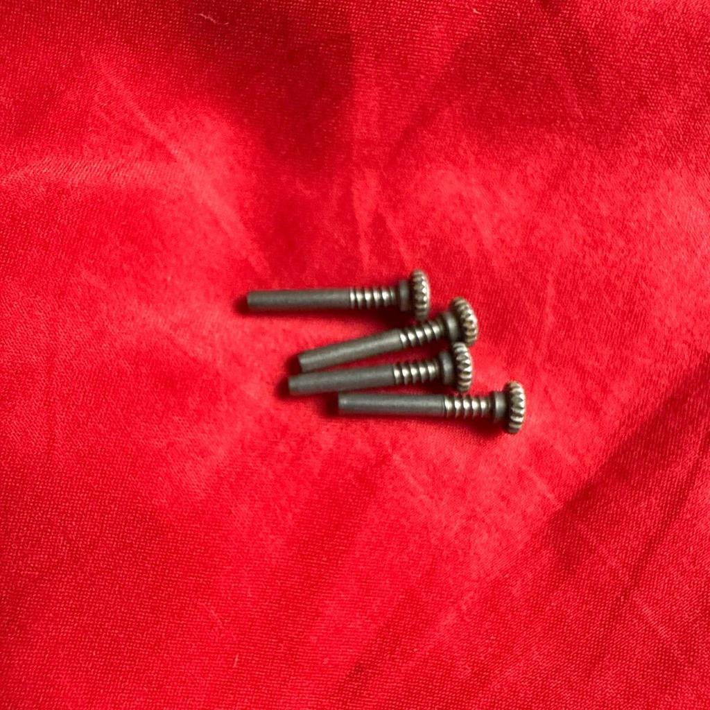 CASIO Fisherman Screws Strap Fixing Screws DW-8600 G-SHOCK DW-8600 4-Piece Set