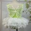 Chiffon Skirt Ballet Leotards Camisole Style Dance Costume Fashion Ballerina Tutu Dress  Practice